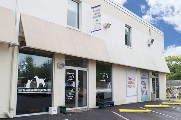 Fairfax Animal Hospital - Contact, Location, Hours, Directions