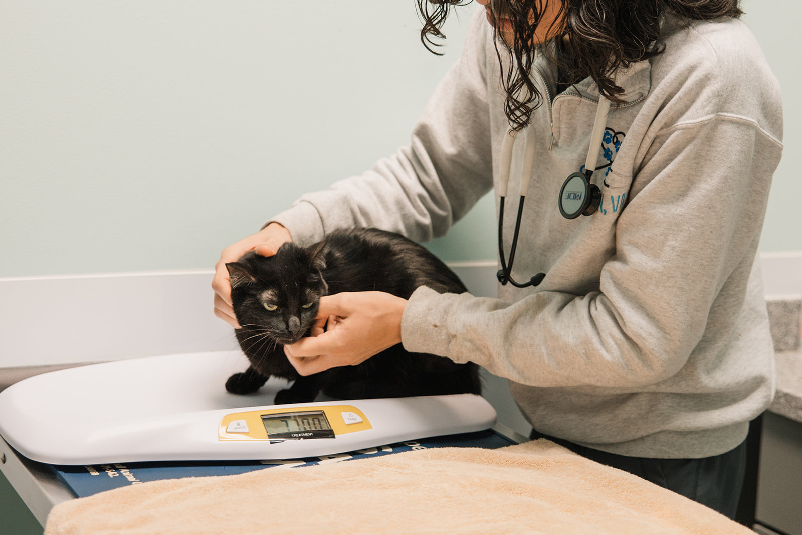 Fairfax Animal Hospital Advanced Equipment