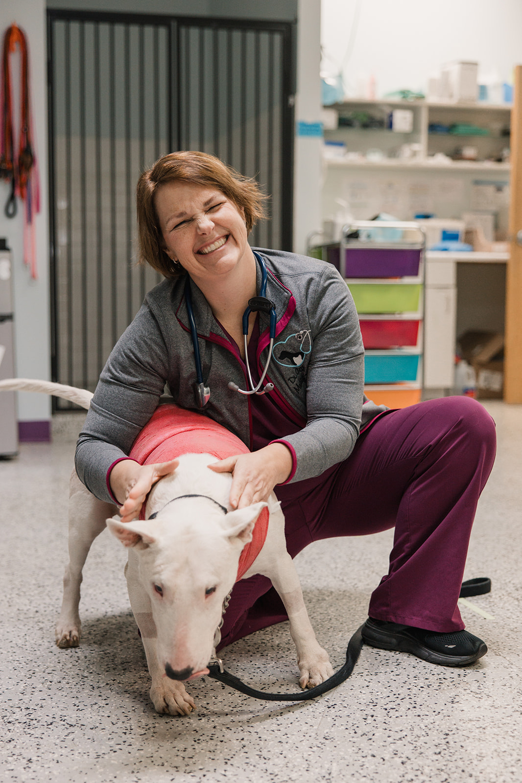 Fairfax Animal Hospital Lab